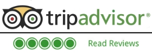 Green Peace Resort Trip Advisor Reviews